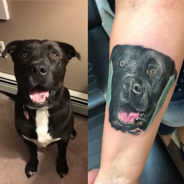 daily picdump 93 pics 20.html - 93 HD Photos | Premium Gallery 2018