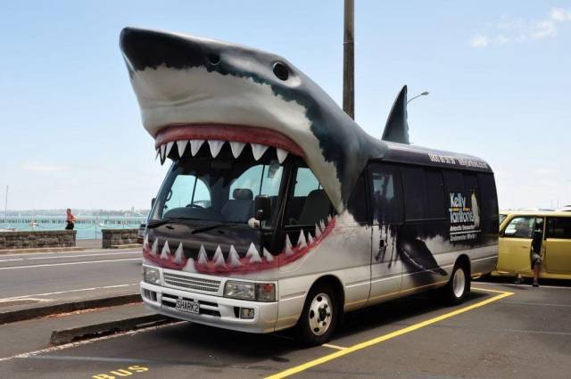 daily picdump 93 pics 20.html - 93 HD Photos | Premium Gallery 2018