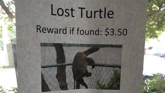 daily picdump 93 pics 20.html - 93 HD Photos | Premium Gallery 2018