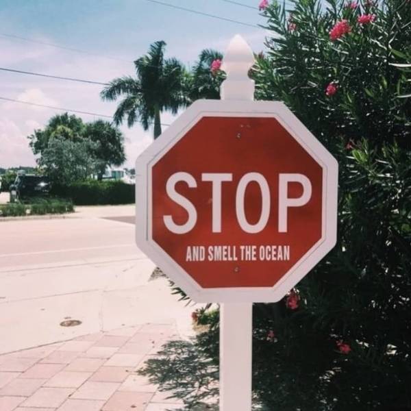 daily picdump 93 pics 20.html - 93 HD Photos | Premium Gallery 2018