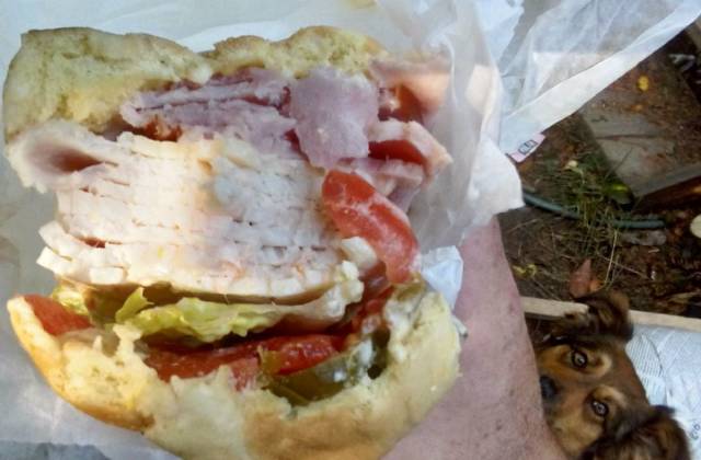 daily picdump 93 pics 20.html - 93 HD Photos | Premium Gallery 2018