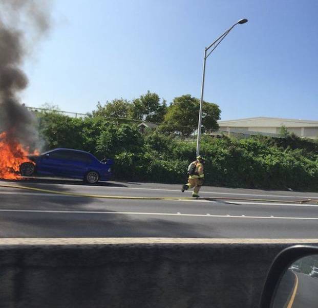 daily picdump 93 pics 20.html - 93 HD Photos | Premium Gallery 2018