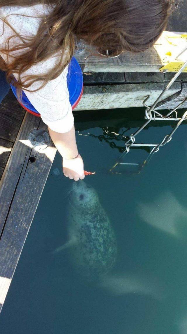 daily picdump 93 pics 20.html - 93 HD Photos | Premium Gallery 2018