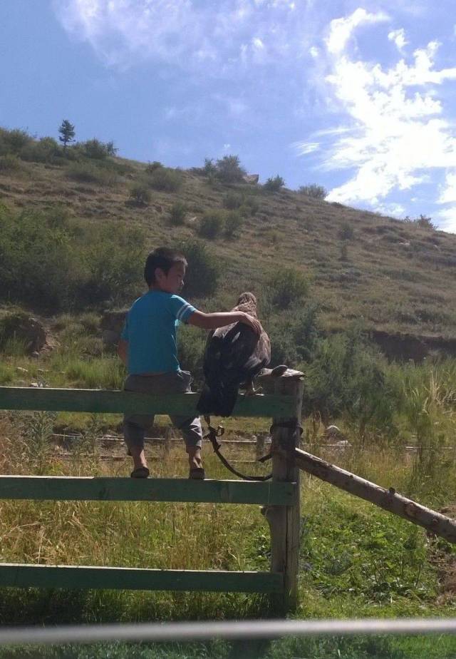 daily picdump 93 pics 20.html - 93 HD Photos | Premium Gallery 2018