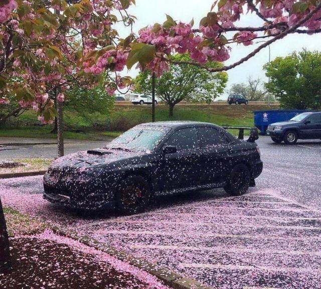 daily picdump 100 pics 38.html - 100 HD Photos | Premium Gallery 2018