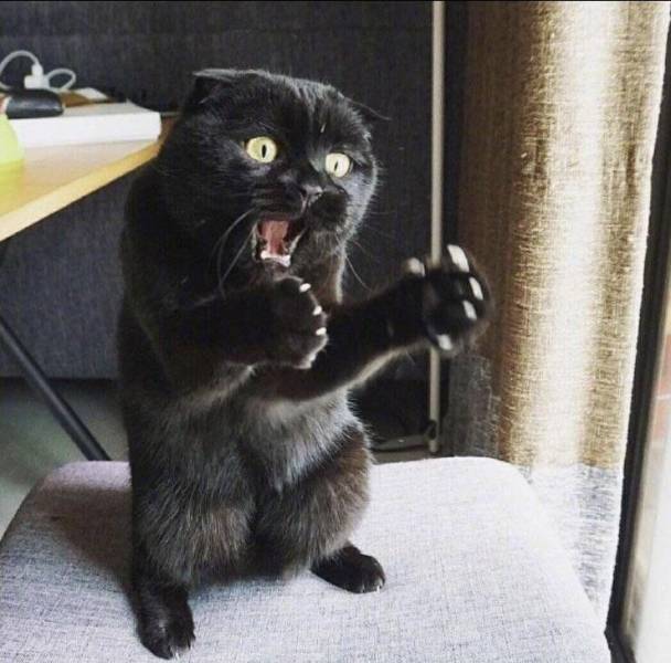 daily picdump 100 pics 38.html - 100 HD Photos | Premium Gallery 2018