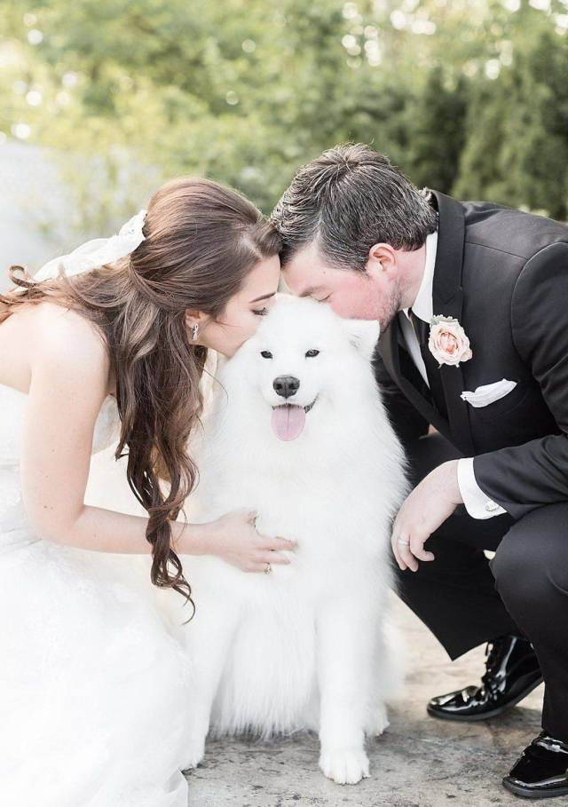 daily picdump 100 pics 38.html - 100 HD Photos | Premium Gallery 2018