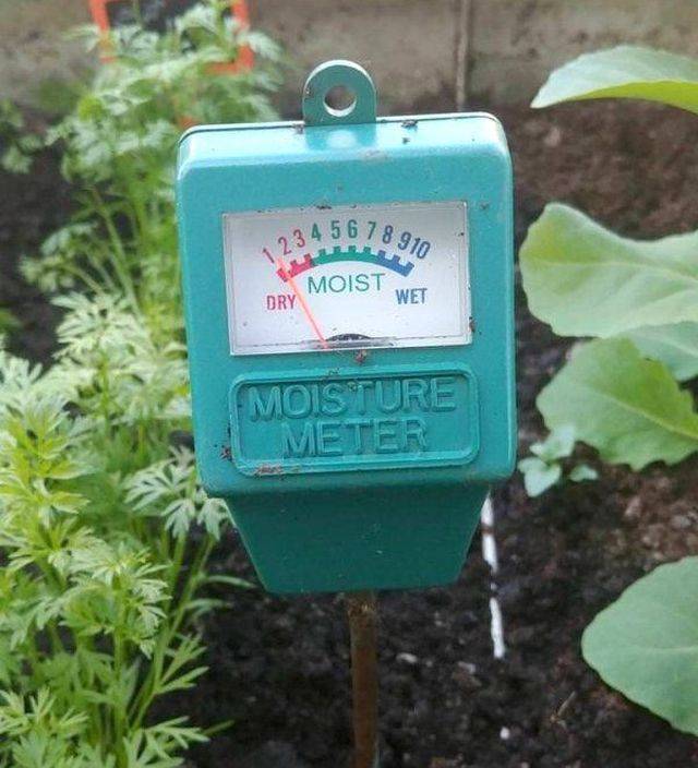 daily picdump 100 pics 38.html - 100 HD Photos | Premium Gallery 2018