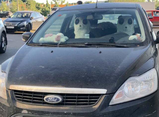 morning picdump 52 pics 25.html - 52 HD Photos | Premium Gallery 2018