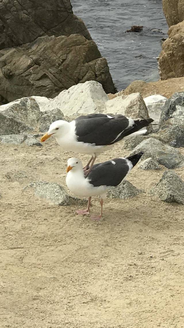 morning picdump 52 pics 25.html - 52 HD Photos | Premium Gallery 2018