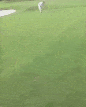 A##holes! A##holes Everywhere!