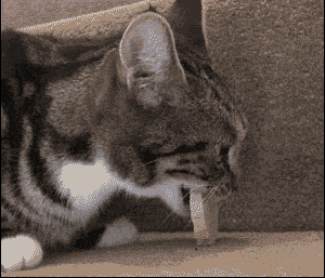 Gotta Love That Instant Karma