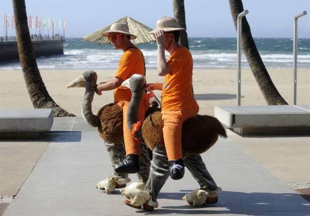 daily picdump 99 pics 31.html - 99 HD Photos | Premium Gallery 2018