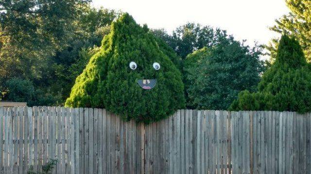 daily picdump 99 pics 31.html - 99 HD Photos | Premium Gallery 2018