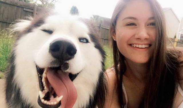 daily picdump 99 pics 31.html - 99 HD Photos | Premium Gallery 2018