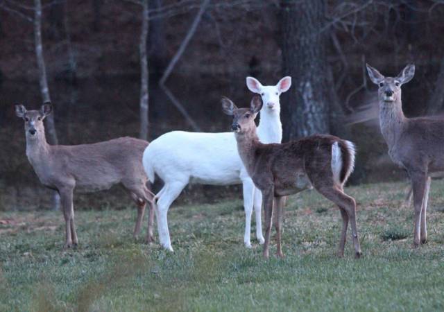 daily picdump 99 pics 31.html - 99 HD Photos | Premium Gallery 2018