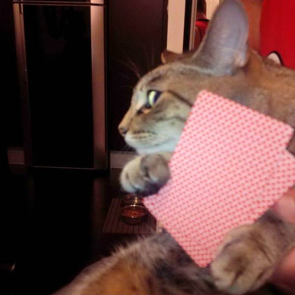 daily picdump 99 pics 31.html - 99 HD Photos | Premium Gallery 2018