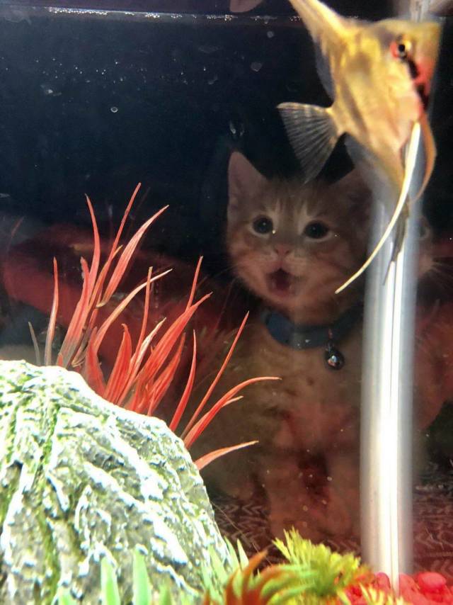 daily picdump 99 pics 31.html - 99 HD Photos | Premium Gallery 2018