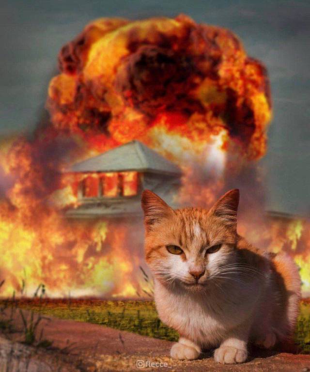 daily picdump 99 pics 31.html - 99 HD Photos | Premium Gallery 2018