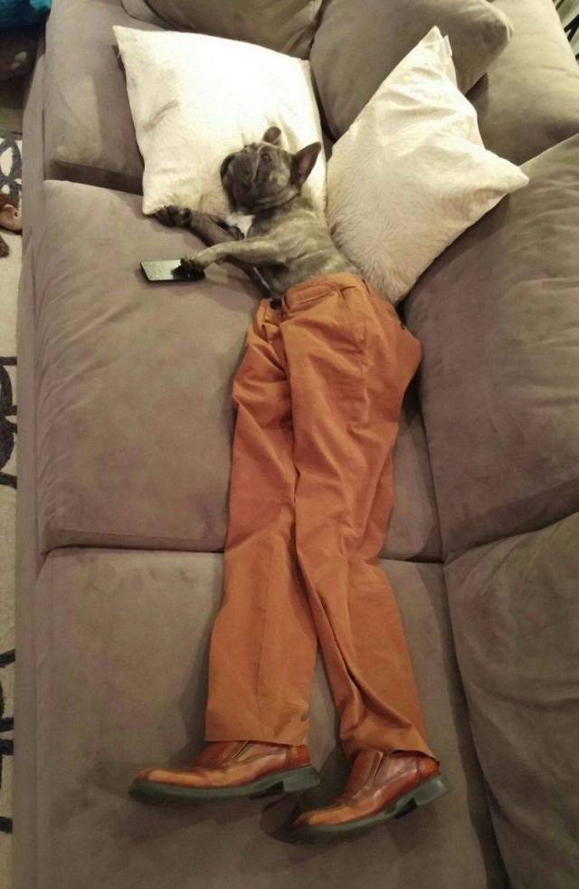 daily picdump 99 pics 31.html - 99 HD Photos | Premium Gallery 2018