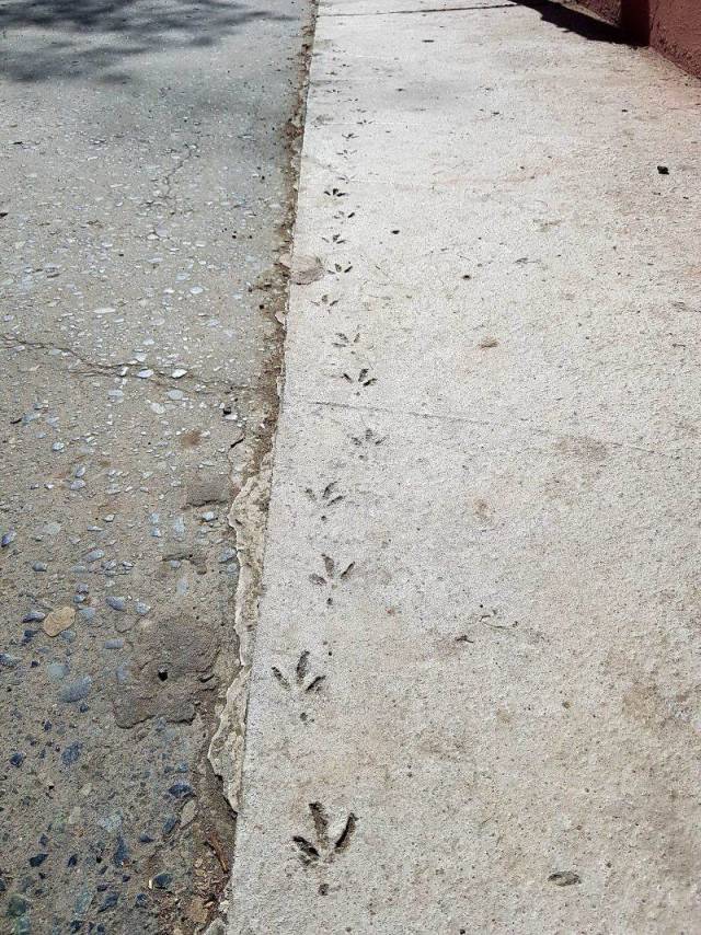 daily picdump 99 pics 31.html - 99 HD Photos | Premium Gallery 2018