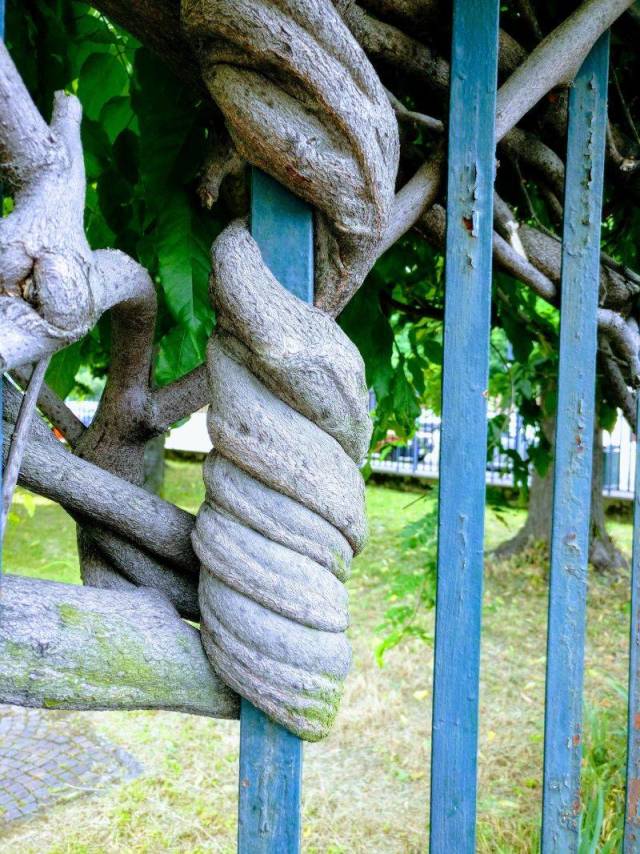 daily picdump 99 pics 31.html - 99 HD Photos | Premium Gallery 2018