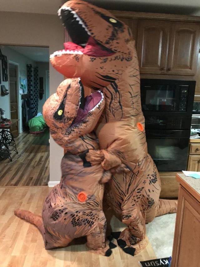 daily picdump 99 pics 31.html - 99 HD Photos | Premium Gallery 2018