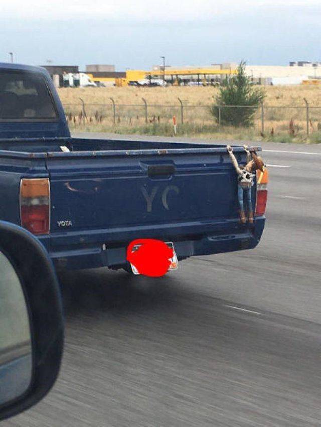 daily picdump 99 pics 31.html - 99 HD Photos | Premium Gallery 2018