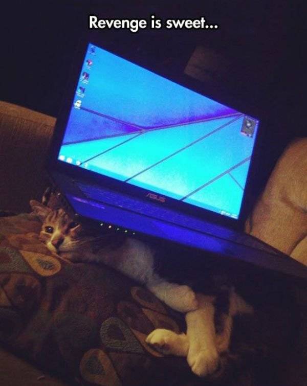 Gotta Love That Instant Karma