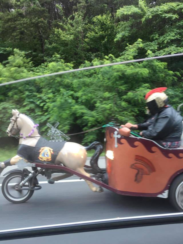 morning picdump 51 pics 10.html - 51 HD Photos | Premium Gallery 2018