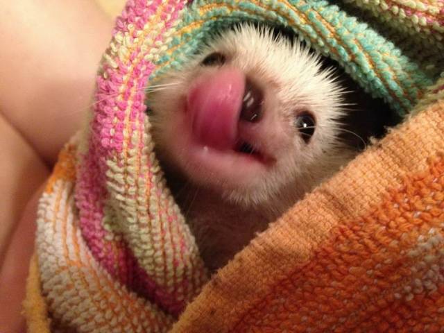 daily picdump 105 pics 4.html - 105 HD Photos | Premium Gallery 2018