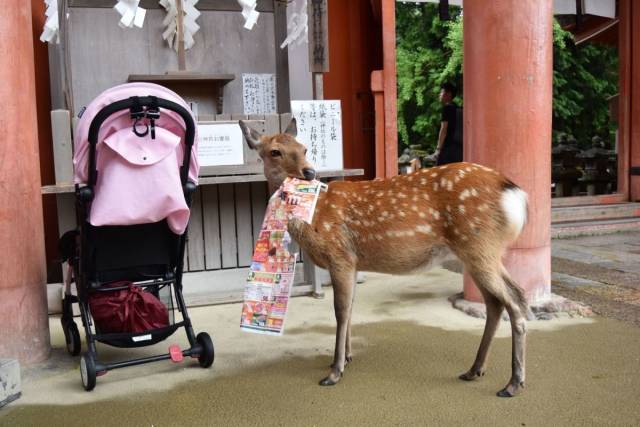 daily picdump 105 pics 4.html - 105 HD Photos | Premium Gallery 2018