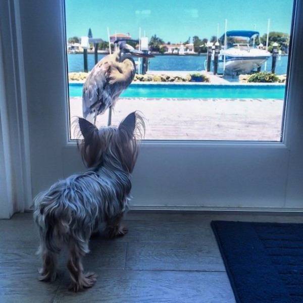 daily picdump 105 pics 4.html - 105 HD Photos | Premium Gallery 2018