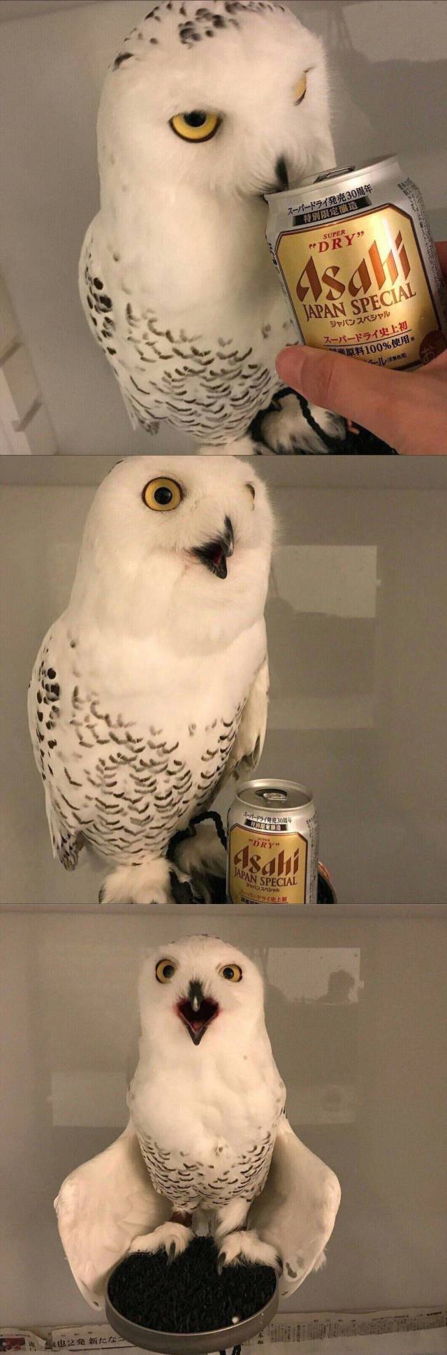 daily picdump 105 pics 4.html - 105 HD Photos | Premium Gallery 2018