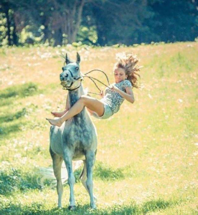 daily picdump 105 pics 4.html - 105 HD Photos | Premium Gallery 2018