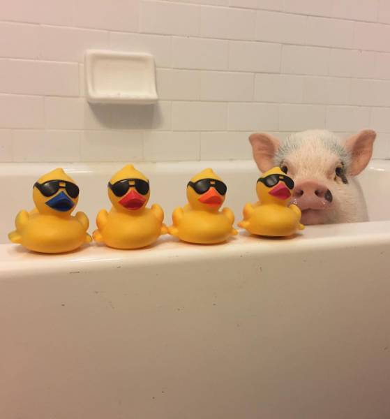 morning picdump 54 pics 9.html - 54 HD Photos | Premium Gallery 2018