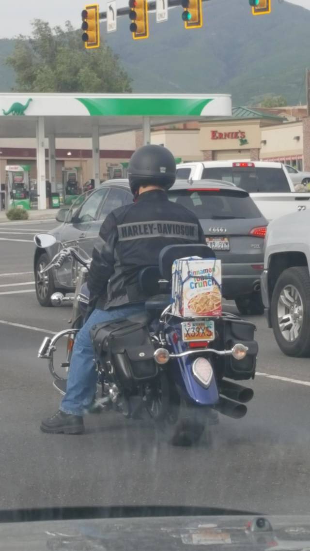 morning picdump 54 pics 9.html - 54 HD Photos | Premium Gallery 2018