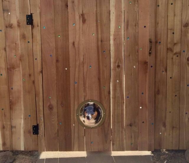 Daily Picdump [WEEKEND EDITION]