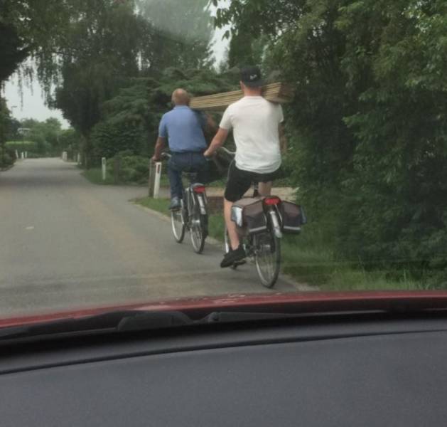 Daily Picdump [WEEKEND EDITION]