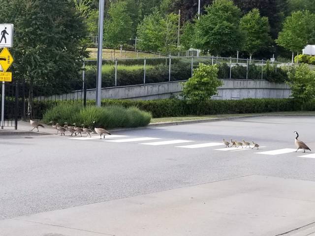 daily picdump weekend edition 83 pics 38.html - 83 HD Photos | Premium Gallery 2018