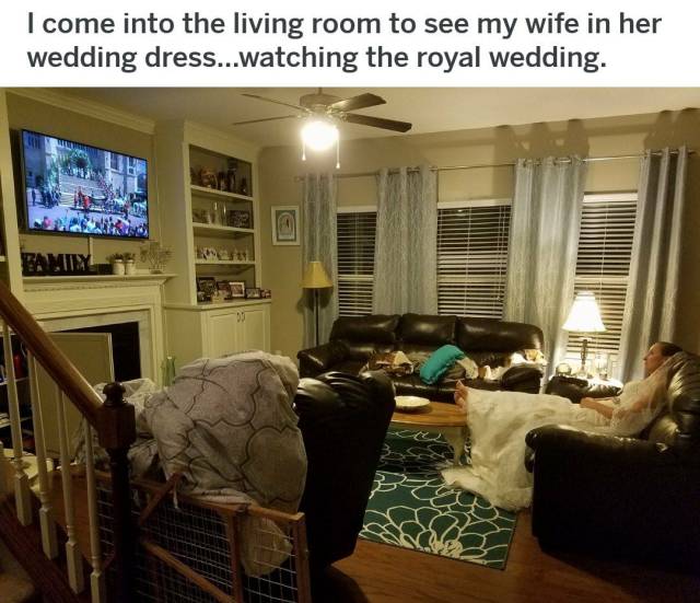 daily picdump weekend edition 83 pics 38.html - 83 HD Photos | Premium Gallery 2018