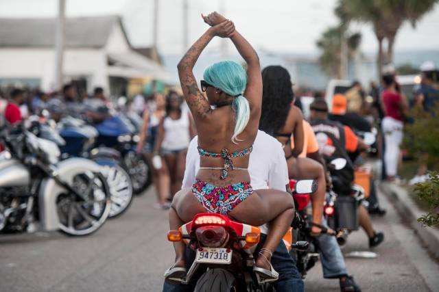 daily picdump weekend edition 83 pics 38.html - 83 HD Photos | Premium Gallery 2018