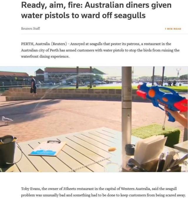 Daily Picdump [WEEKEND EDITION]