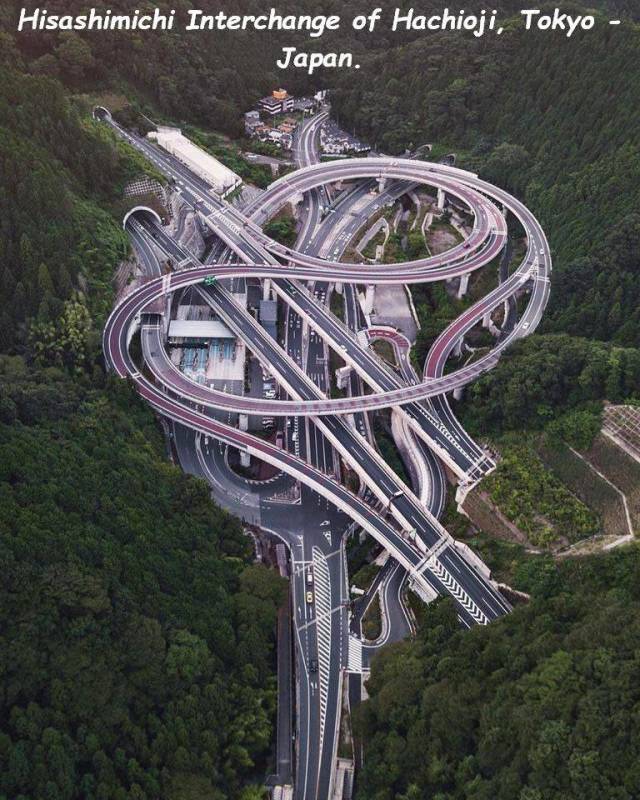 Daily Picdump [WEEKEND EDITION]