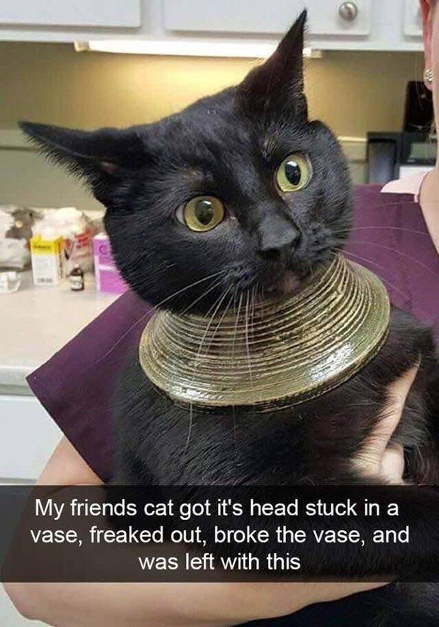 Daily Picdump [WEEKEND EDITION]