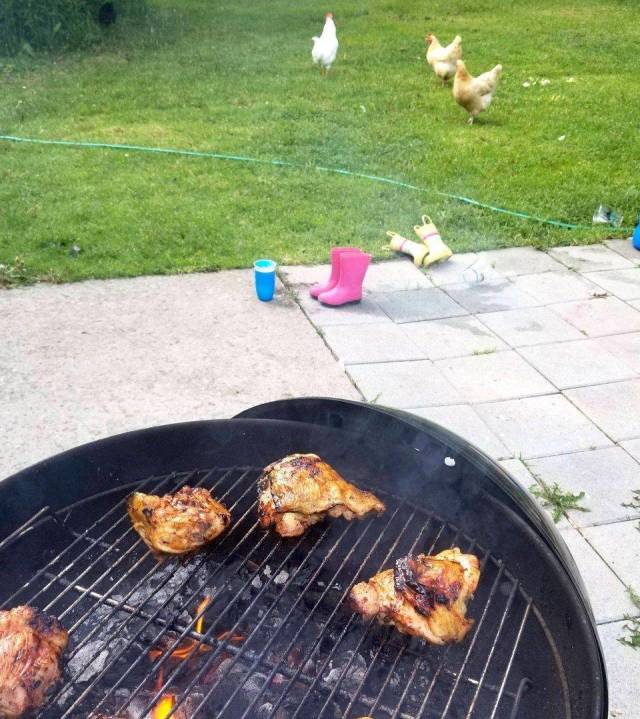 daily picdump weekend edition 83 pics 38.html - 83 HD Photos | Premium Gallery 2018