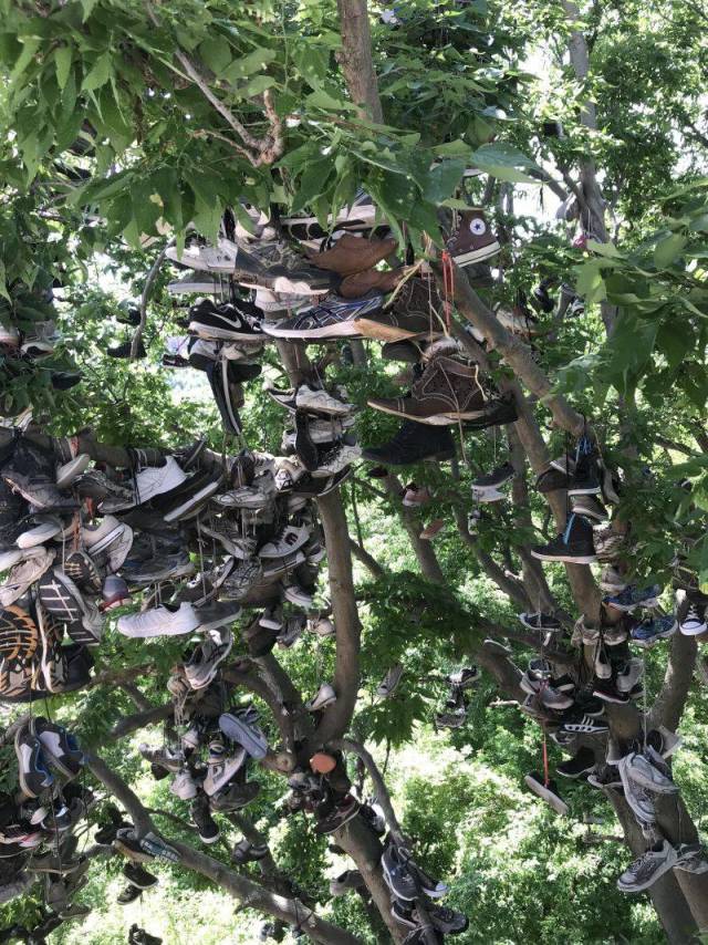 daily picdump weekend edition 83 pics 38.html - 83 HD Photos | Premium Gallery 2018