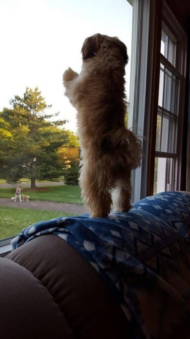 daily picdump weekend edition 83 pics 38.html - 83 HD Photos | Premium Gallery 2018