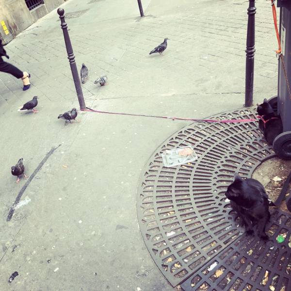 daily picdump 109 pics 45.html - 109 HD Photos | Premium Gallery 2018