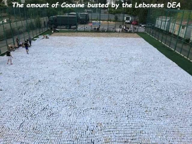 daily picdump 109 pics 45.html - 109 HD Photos | Premium Gallery 2018